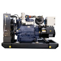 Low Fuel Consumption 24 Hours Three Phase Fired Powered Industrial Liquefied Petroleum Gas LPG Gas Generators